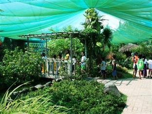 Pineapple Island Resort Daet Экстерьер фото